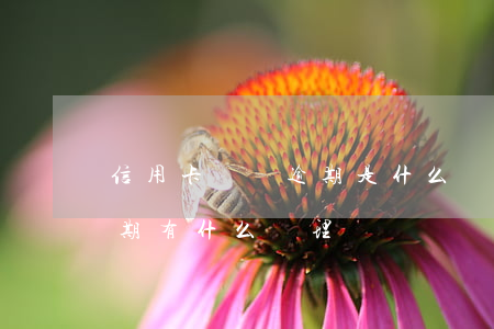 信用卡賬單逾期是什么樣的(今年的信用卡逾期有什么處理)