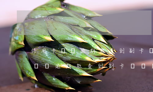 信用卡賬單逾期能查到副卡電話嗎-信用卡賬單逾期能查到副卡電話嗎怎么查
