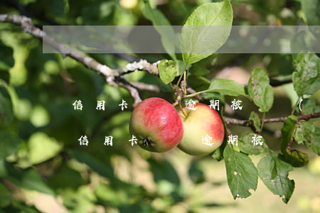 信用卡賬單逾期被凍結(jié)多久能解（信用卡賬單逾期被凍結(jié)多久能解）