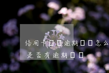 信用卡賬單逾期賬單怎么顯示(怎么查信用卡是否有逾期記錄)