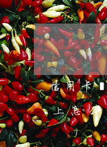 信用卡賬單還不上怎么辦-信用卡賬單還不上怎么辦