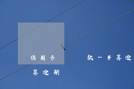 信用卡賬單還款一半算逾期嗎(賬單日前還款算逾期嗎)