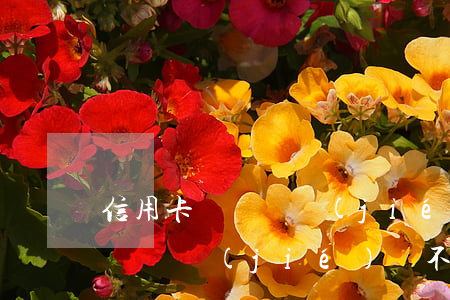 信用卡賬戶凍結(jié)還不起(信用卡賬戶凍結(jié)還不起錢怎么辦)