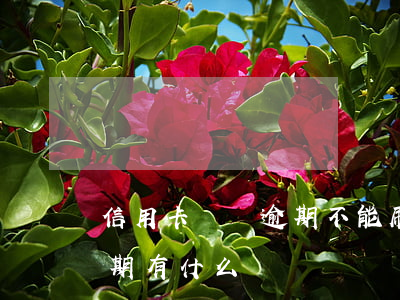 信用卡賬戶逾期不能刷卡了(銀行卡信用卡逾期有什么辦)