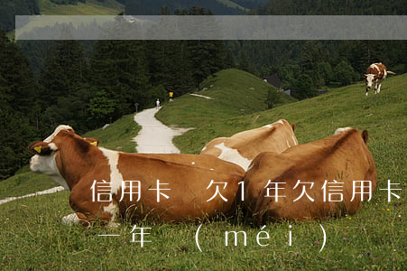 信用卡賬欠1年(欠信用卡的錢(qián)一年沒(méi)還會(huì)怎么樣)