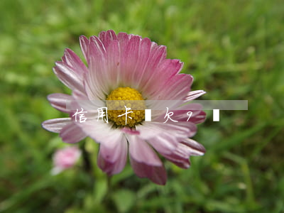 信用卡賬欠9萬