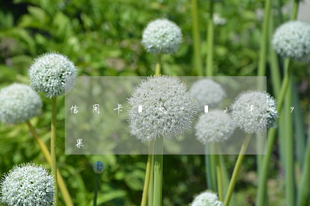信用卡賬欠9萬2年 欠9萬信用卡是什么后果
