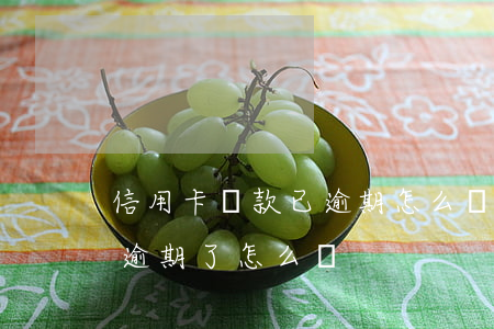 信用卡賬款已逾期怎么辦(所有的貸款信用卡逾期了怎么辦)