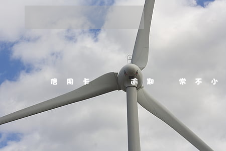 信用卡賬號逾期異常(不小心信用卡逾期)