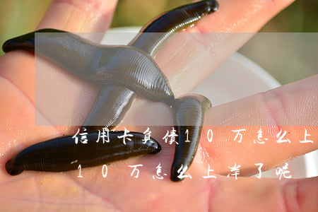 信用卡负债10万怎么上岸了-信用卡负债10万怎么上岸了呢