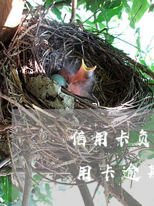 信用卡负债十几万逾期可以当兵吗(当兵的信用卡逾期了会怎么样?)