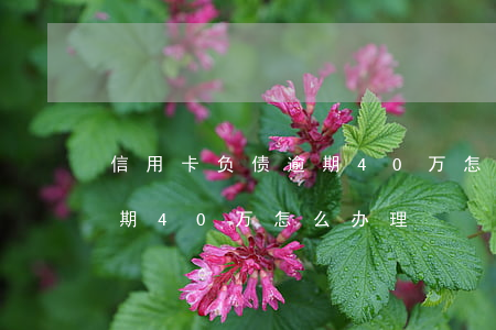 信用卡负债逾期40万怎么办(信用卡负债逾期40万怎么办理)