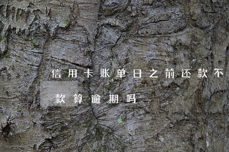 信用卡账单日之前还款不算逾期 账单日前还款算逾期吗
