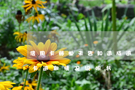 信用卡账单未告知造成逾期(因年费导致信用卡逾期情况说明书)