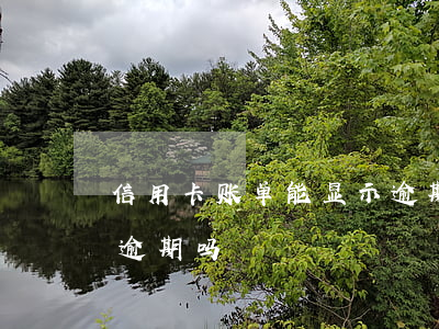 信用卡账单能显示逾期吗(信用卡账单能显示逾期吗)