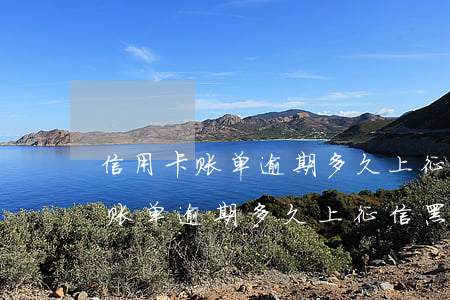 信用卡账单逾期多久上征信黑名单-信用卡账单逾期多久上征信黑名单了