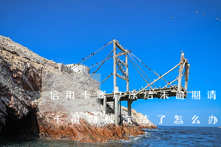信用卡账户冻结未逾期(请问银行卡因为信用卡逾期被冻结了怎么办)