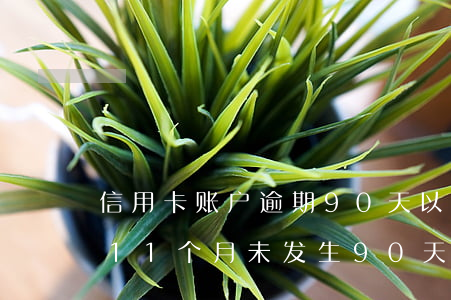 信用卡账户逾期90天以上(信用卡5年逾期11个月,未发生90天内逾期月)