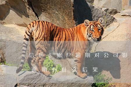 信用卡账户逾期对公司影响吗(银行卡信用卡逾期有什么后果)