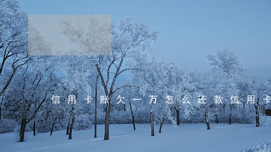 信用卡账欠一万怎么还款（信用卡账欠一万）