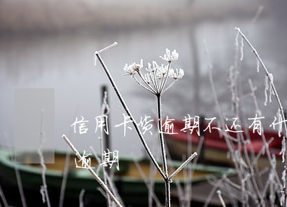 信用卡货逾期不还有什么后果(为什么信用卡逾期)