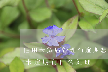 信用卡贷后管理有逾期怎么办-今年的信用卡逾期有什么处理