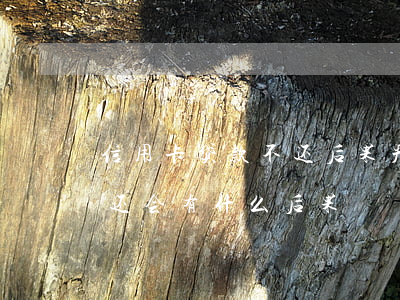 信用卡贷款不还后果严重不(贷款和信用卡不还会有什么后果)