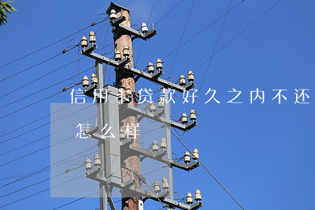 信用卡贷款好久之内不还(信用卡太久不还会怎么样)