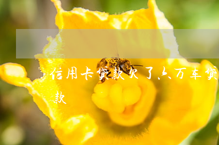 信用卡贷款欠了六万车贷好贷吗(六万的车贷款)