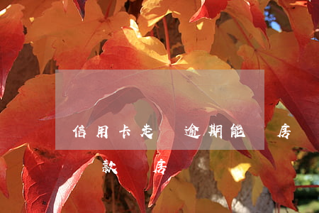 信用卡走過逾期能買房嗎(信用卡逾期過還能貸款買房嗎)