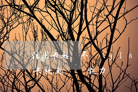 信用卡起訴不應(yīng)訴行嗎 欠信用卡被起訴,沒能力償還會(huì)有什么后果