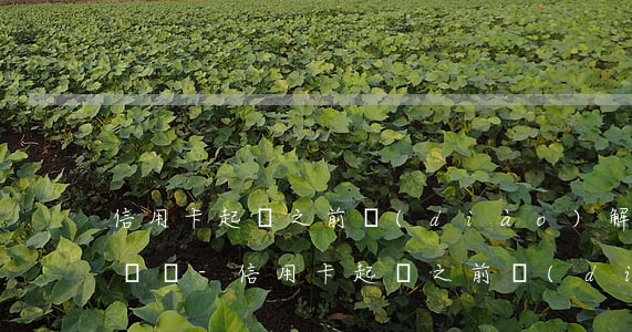 信用卡起訴之前調(diào)解期是多長時間-信用卡起訴之前調(diào)解期是多長時間啊