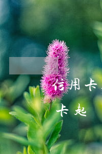信用卡起訴之后把錢還了還會怎么樣-信用卡起訴之后把錢還了還會怎么樣嗎