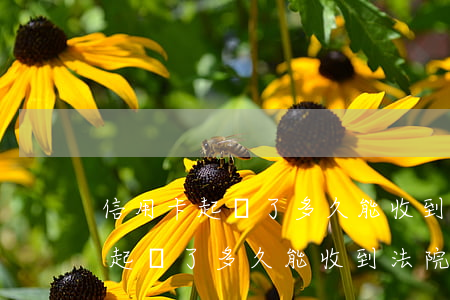 信用卡起訴了多久能收到法院傳票-信用卡起訴了多久能收到法院傳票通知