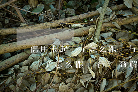 信用卡起訴了怎么跟銀行協商解決(信用卡起訴了怎么跟銀行協商解決)