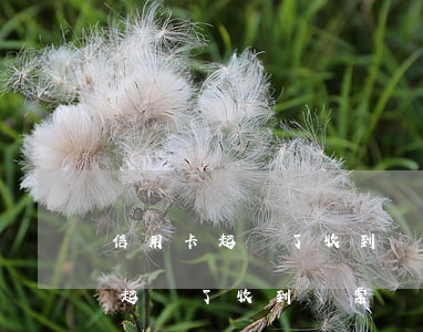 信用卡起訴了收到傳票該怎么處理-信用卡起訴了收到傳票該怎么處理呢