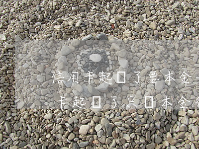 信用卡起訴了要本金一起還怎么辦-欠信用卡起訴了只還本金行嗎