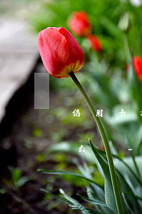 信用卡起訴只是短信通知開(kāi)庭要去嗎-欠信用卡起訴短信