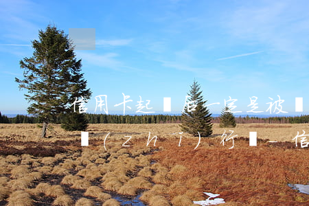 信用卡起訴后一定是被強(qiáng)制執(zhí)行嗎-信用卡起訴后一定是被強(qiáng)制執(zhí)行嗎知乎