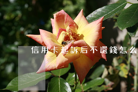 信用卡起訴后不還錢怎么辦