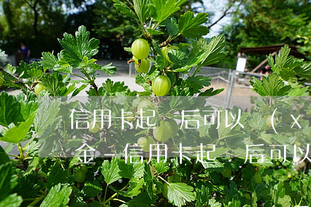 信用卡起訴后可以協(xié)商減免滯納金-信用卡起訴后可以協(xié)商減免滯納金嗎
