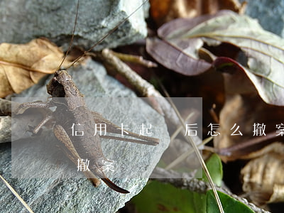 信用卡起訴后怎么撤案-信用卡起訴后怎么撤案
