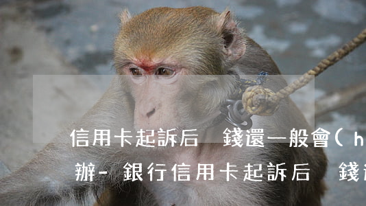 信用卡起訴后沒錢還一般會(huì)怎么辦-銀行信用卡起訴后沒錢還一般會(huì)怎么辦