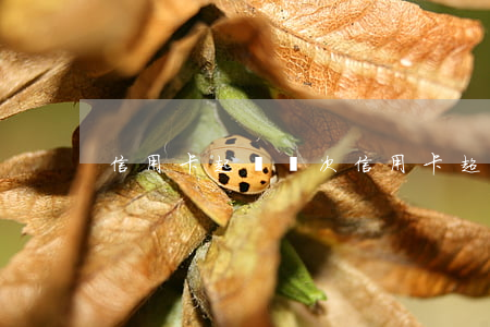 信用卡起訴幾次(信用卡超過幾個月會被起訴)