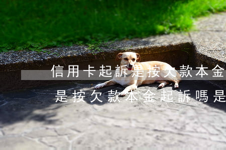 信用卡起訴是按欠款本金起訴嗎(信用卡起訴是按欠款本金起訴嗎是真的嗎)