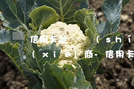 信用卡起訴暫時(shí)沒錢還該怎么協(xié)商-信用卡起訴暫時(shí)沒錢還該怎么協(xié)商還款