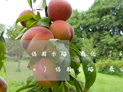 信用卡起訴最低標(biāo)準(zhǔn)(信用卡起訴最低標(biāo)準(zhǔn))