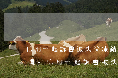 信用卡起訴會被法院凍結(jié)銀行卡嗎-信用卡起訴會被法院凍結(jié)銀行卡嗎知乎