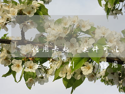 信用卡起訴案件可以寫申請(qǐng)讓法官輕判嗎-信用卡 起訴