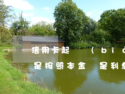 信用卡起訴標(biāo)準(zhǔn)是按照本金還是利息都算-信用卡起訴標(biāo)準(zhǔn)是按照本金還是利息都算的